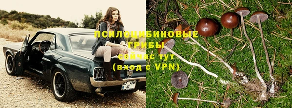 гидра Киреевск