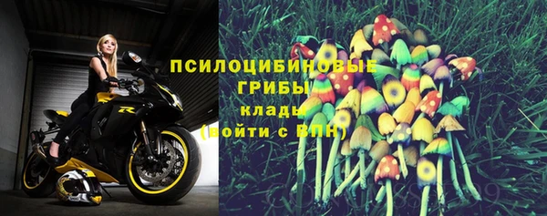 гидра Киреевск