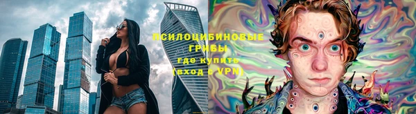 гидра Киреевск
