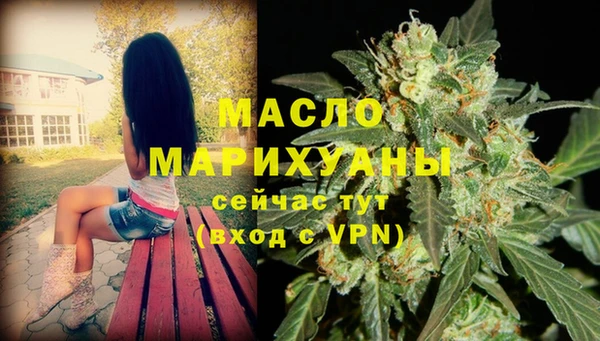 стаф Киренск